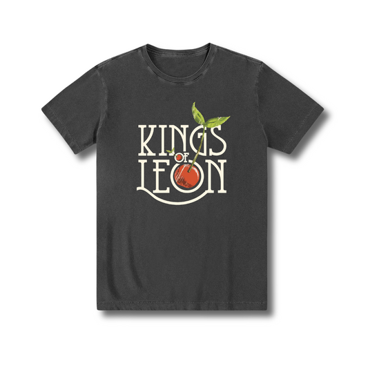 Camiseta 100% algodão estonada zero encolhimento Rock Pop Rock Kings Of Leon